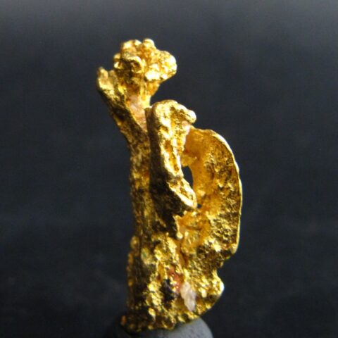 Australisches Goldnugget sackonhisback