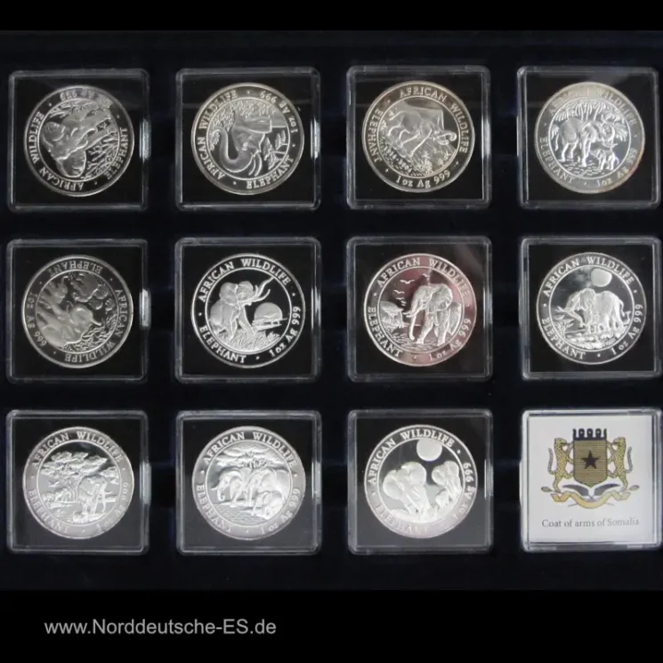 Somalia Elephants African Wildlife 11 x oz Silber Jubilee Set 2004-2014 - in Original Holzetui mit Zertifikat